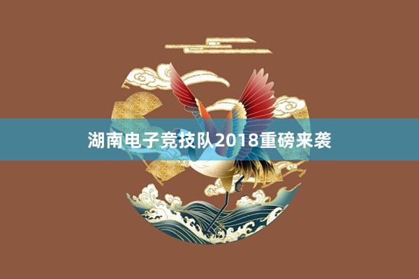 湖南电子竞技队2018重磅来袭