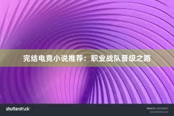 完结电竞小说推荐：职业战队晋级之路