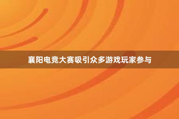 襄阳电竞大赛吸引众多游戏玩家参与